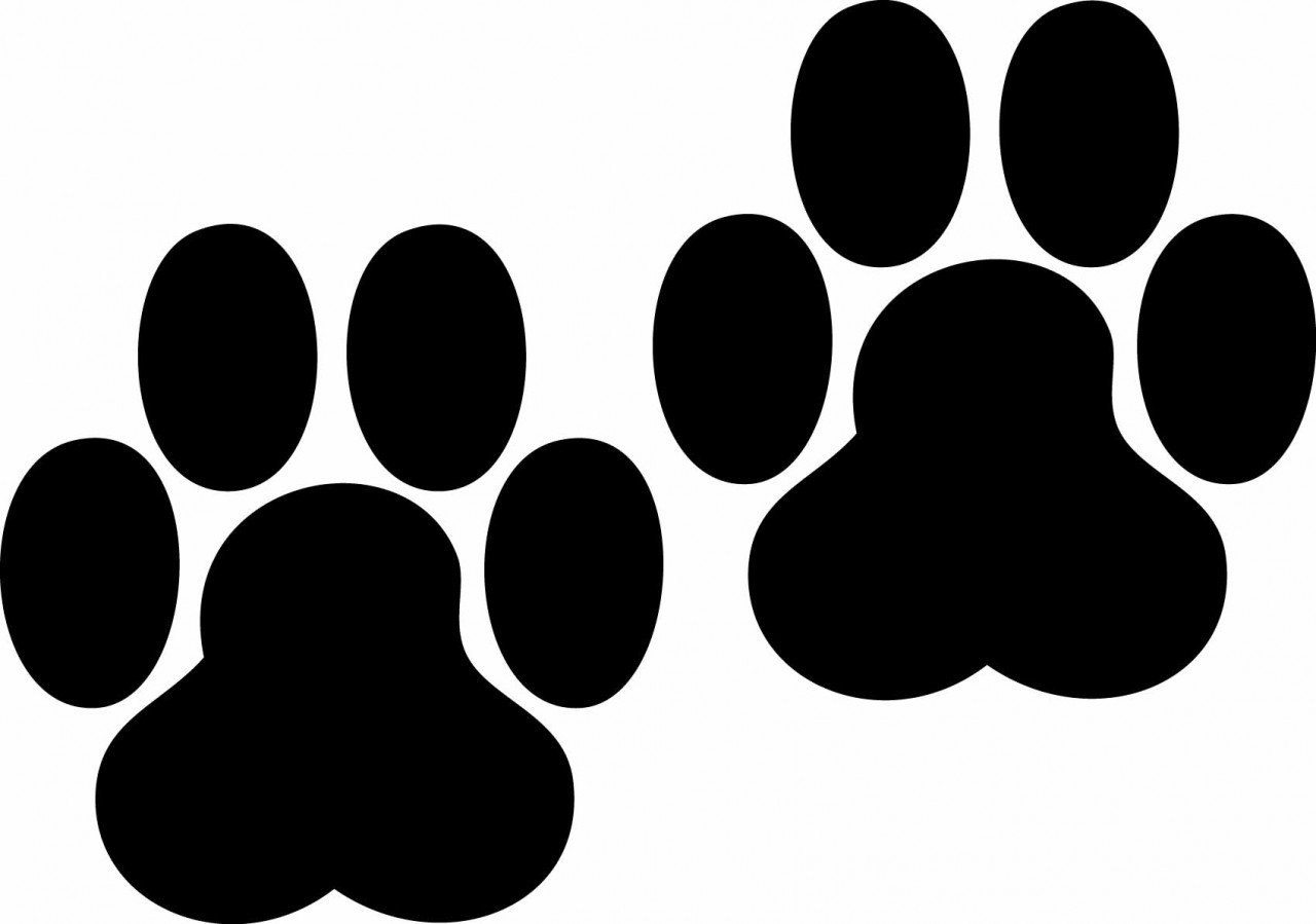 Dog paw outline clipart - ClipartFox