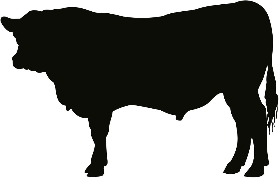 Free photo Bull Cow Silhouette Cattle Angus Artwork Art - Max Pixel