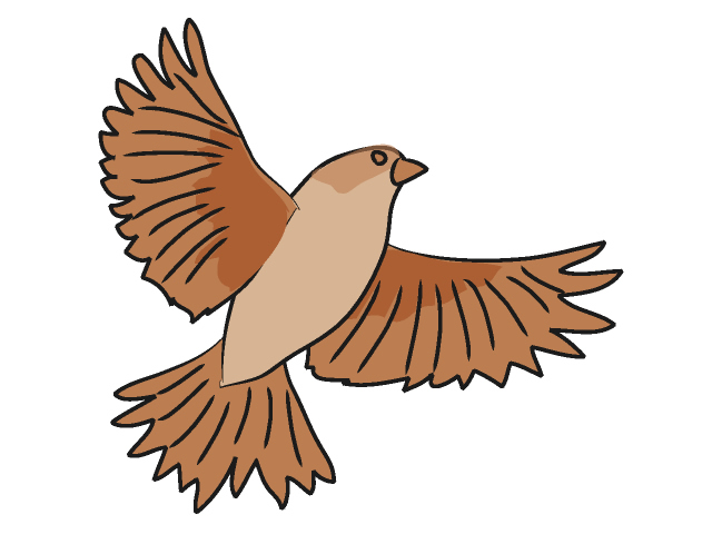 Sparrow Clip Art