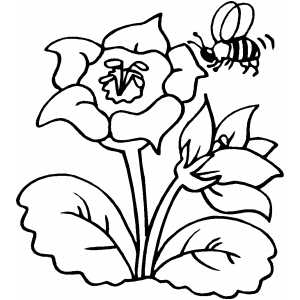 Printable Flower Coloring Book Pages