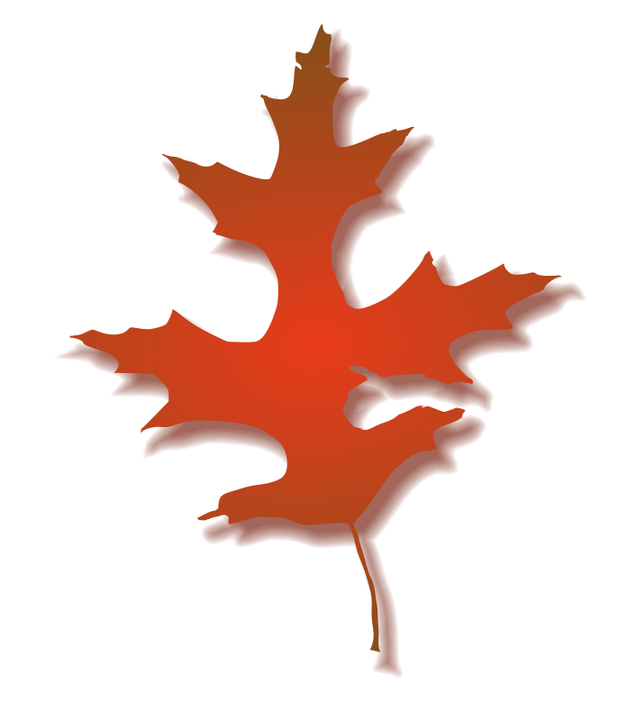 Picture Of Oak Leaf - ClipArt Best