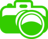 Green Owl 2 clip art - vector clip art online, royalty free ...