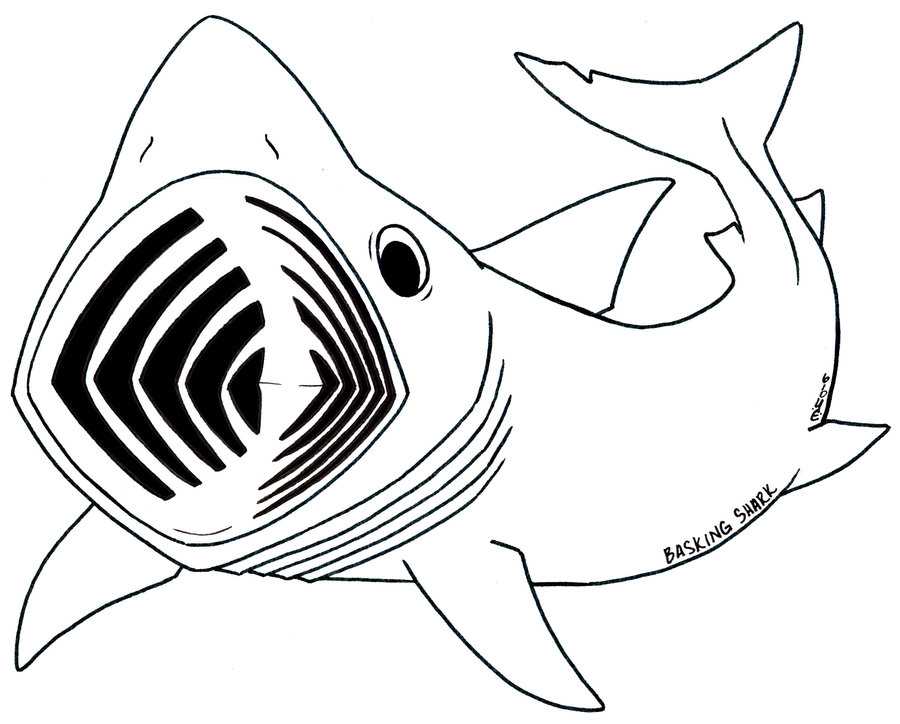 deviantART: More Like Basking Shark Lineart by - ClipArt Best ...