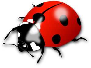 Red Lady Bug clip art - vector clip art online, royalty free ...