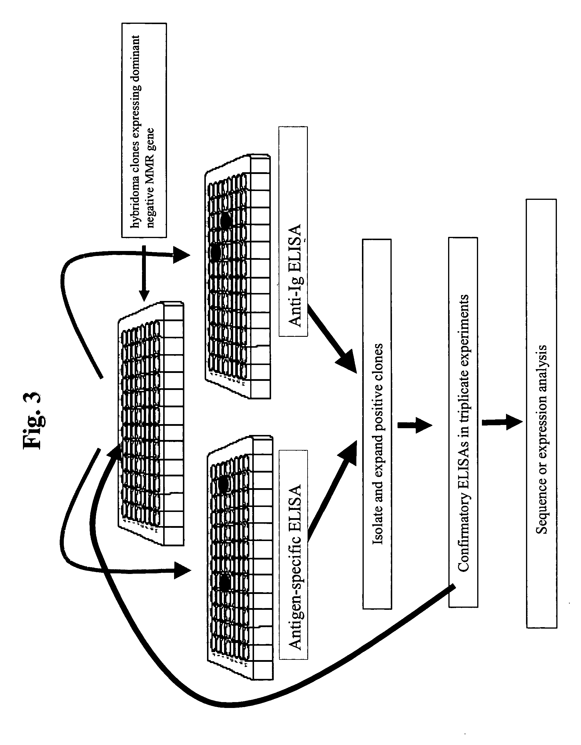 Patent US20050054048 - Antibodies and methods for generating ...