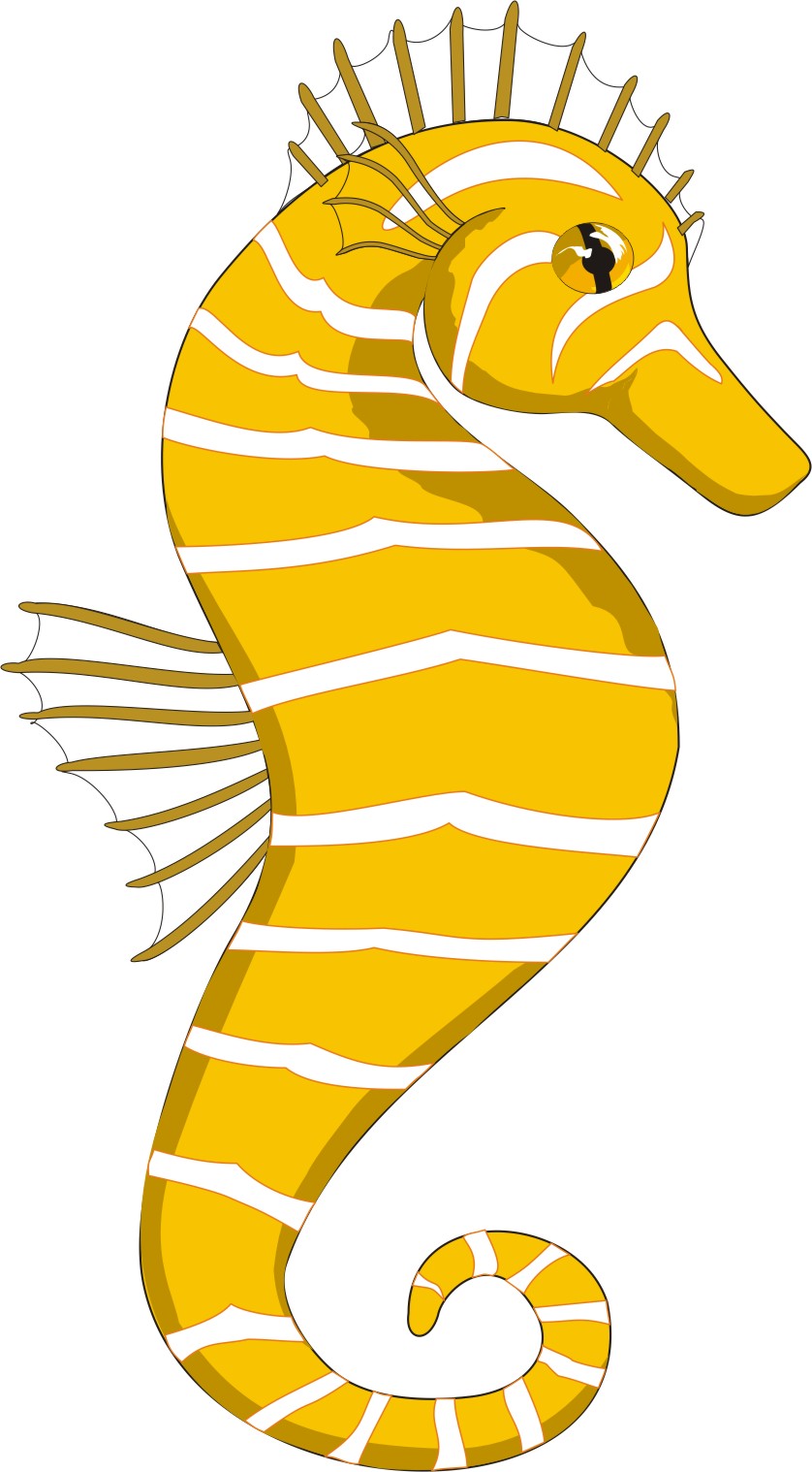 Seahorse Clip Art