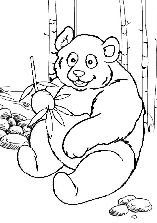Free Online Printable Kids Colouring Pages - Panda Colouring Page