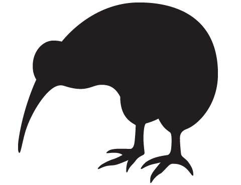 Picture Of A Kiwi Bird - ClipArt Best