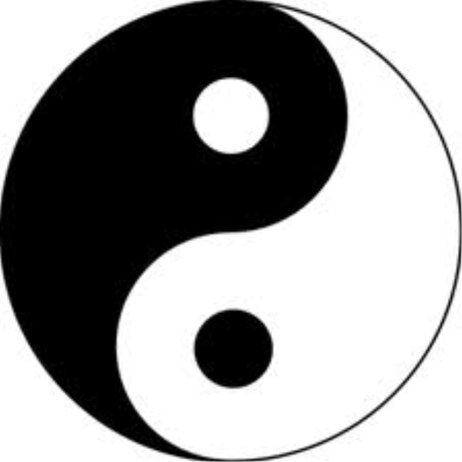 PlásticAVENTURA: YIN YANG