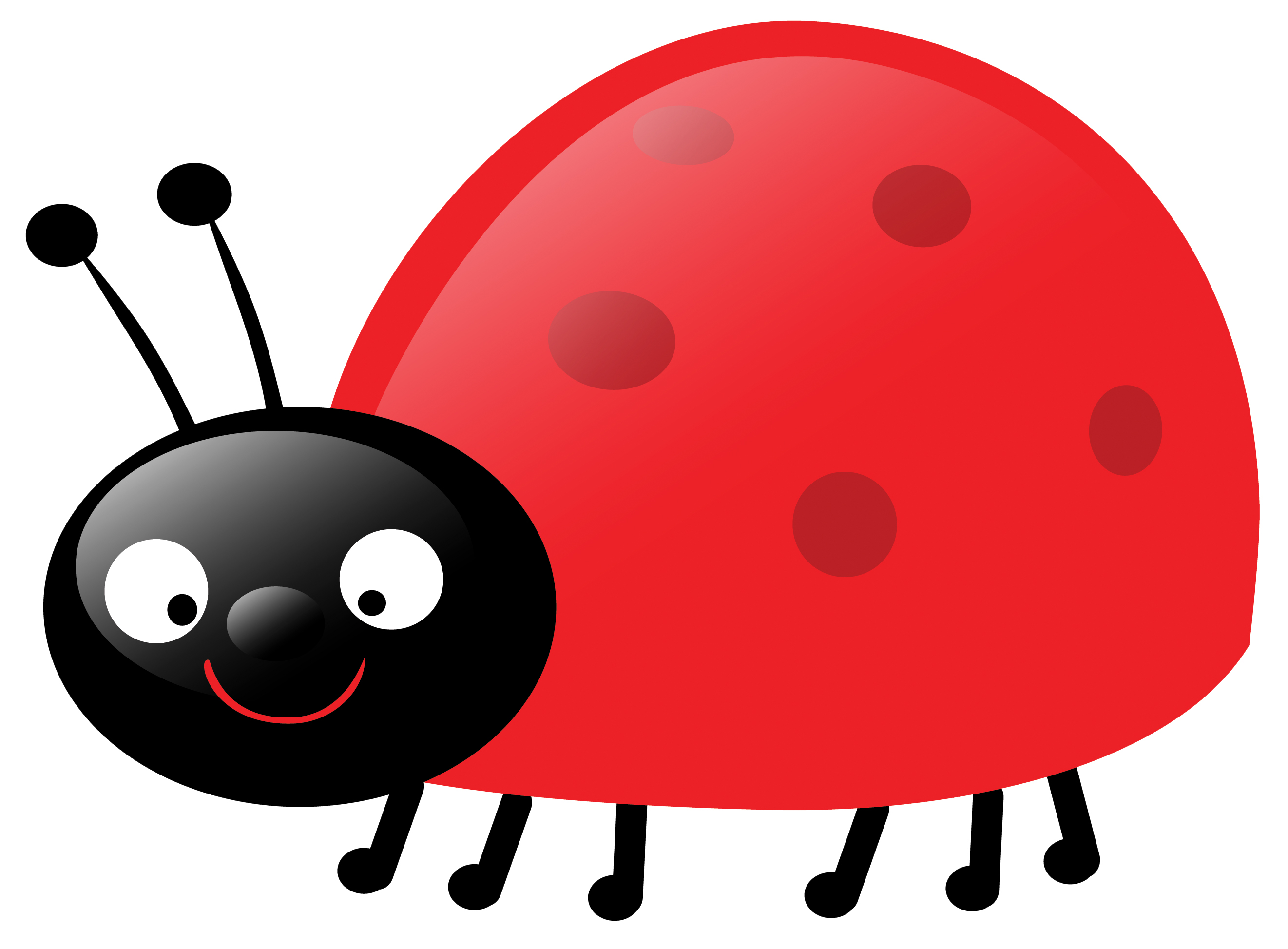 Free cartoon ladybug clipart