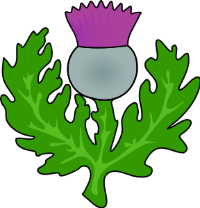 Thistle pictures clip art - ClipartFox