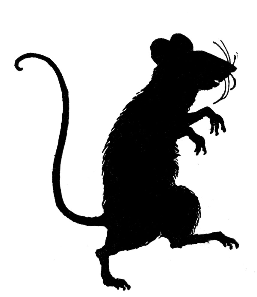 Black rat clipart