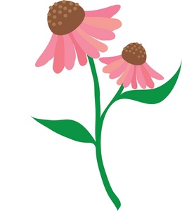 Flower stem clipart