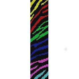 Rainbow Zebra | Rainbow Colors ...