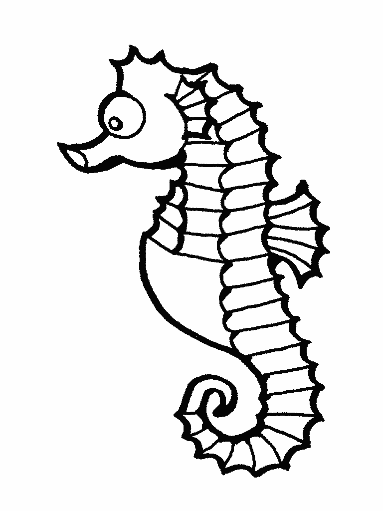 Seahorse Clipart Black And White ClipArt Best