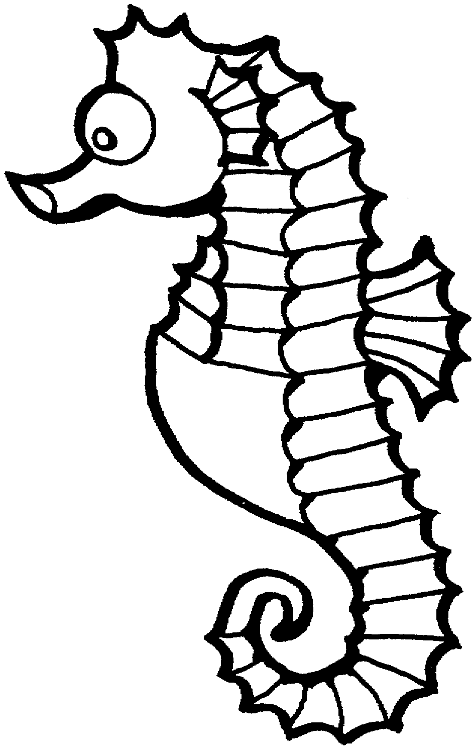 Seahorse Black And White Clipart