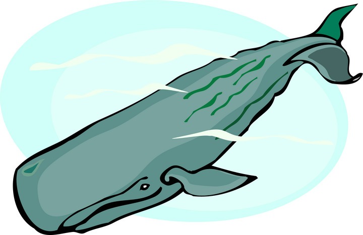 This whale clip art is in the - Clipartix