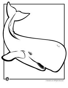Animals, Coloring and Animal coloring pages