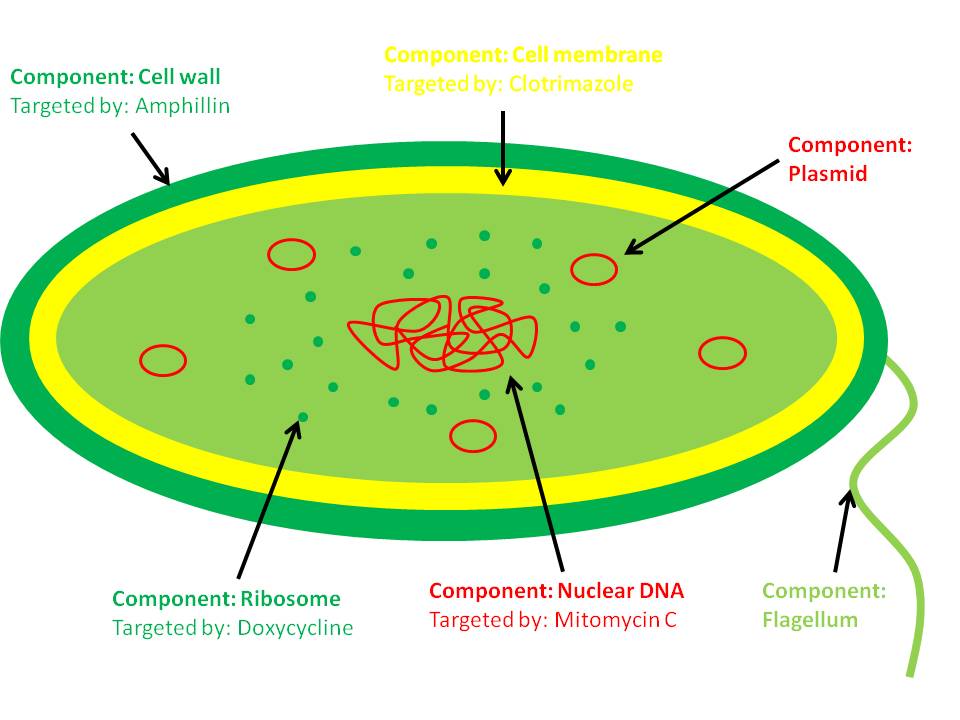 Post 1.2 – A very important issue – antibiotic resistance ...