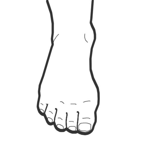 Foot Outline