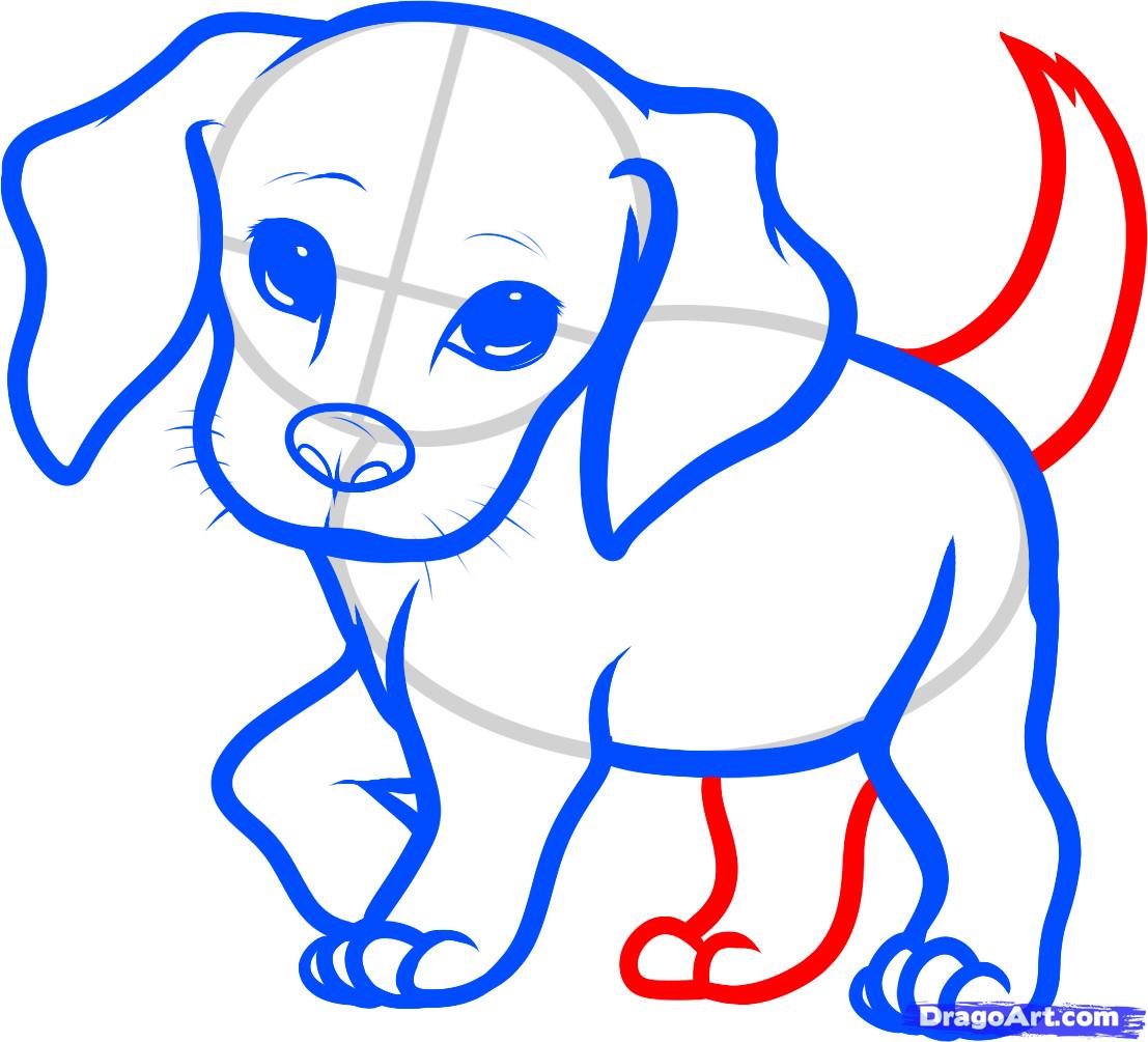 How to Draw a Beagle Puppy, Beagle Puppy, Step by Step, Pets