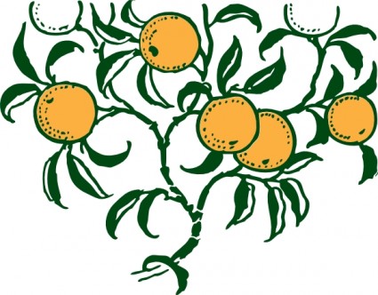 orange_branch_clip_art_11599.jpg