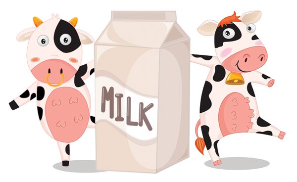 Memerah susu sapi | kidsfarmershow