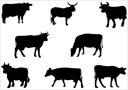 Cow Graphic - ClipArt Best