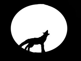 deviantART: More Like wolf howling at the moon by