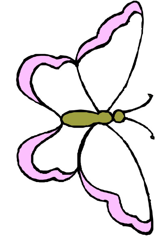 Butterfly Drawing Template