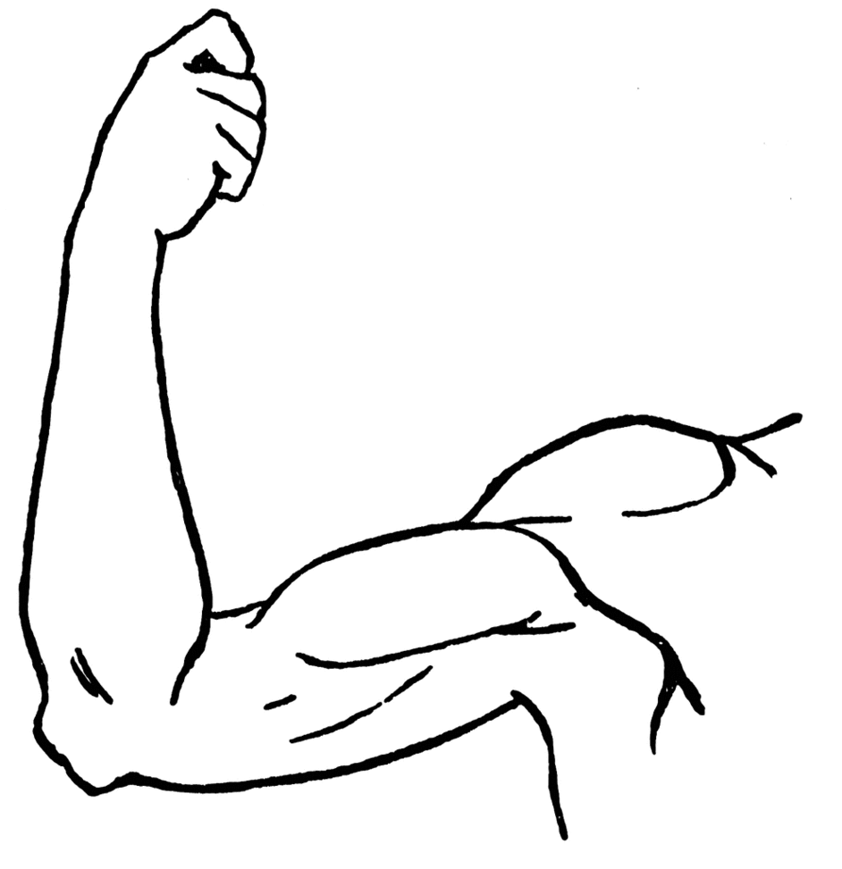 Muscle arm clip art