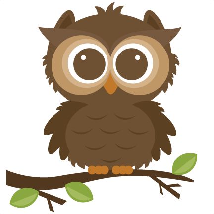 Flying Owl Clipart - Clipartion.com