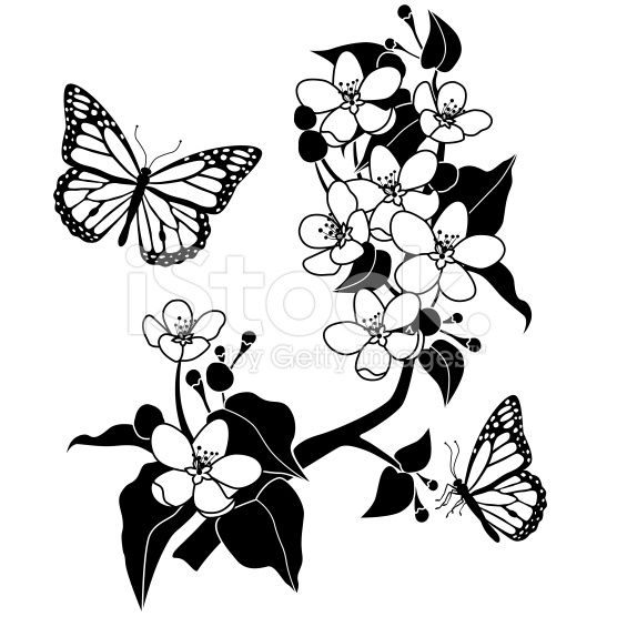 Monarch Butterfly Clipart Black And White