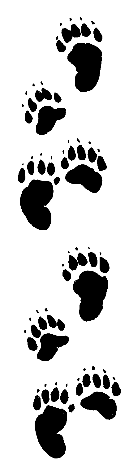 Bear Prints - ClipArt Best