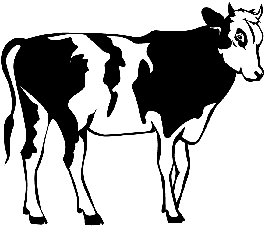 Clipart of cow black and white