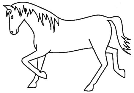 Pictures Of Horse Drawings