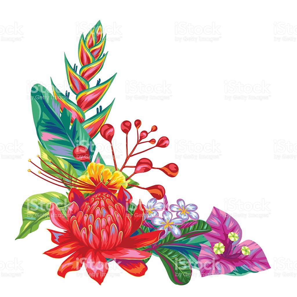 Decorative Object With Thailand Flowers Tropical Multicolor Plants ...