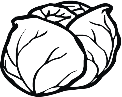 Lettuce coloring pages | Free Coloring Pages