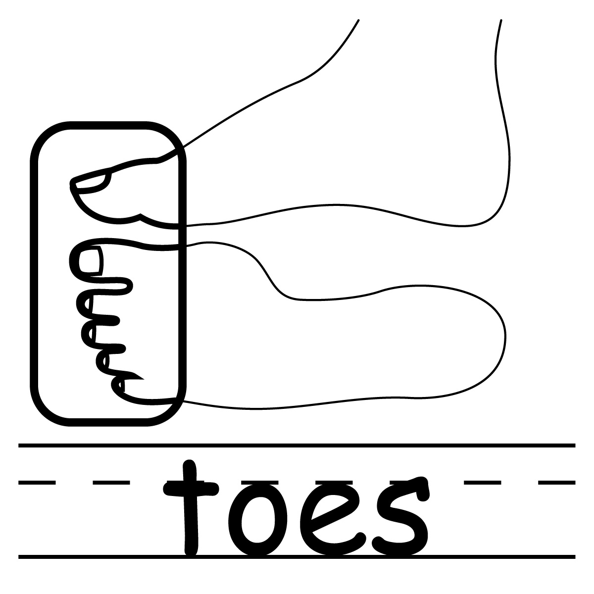 Toes Clipart | Free Download Clip Art | Free Clip Art | on Clipart ...
