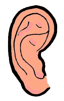 Free ear clipart