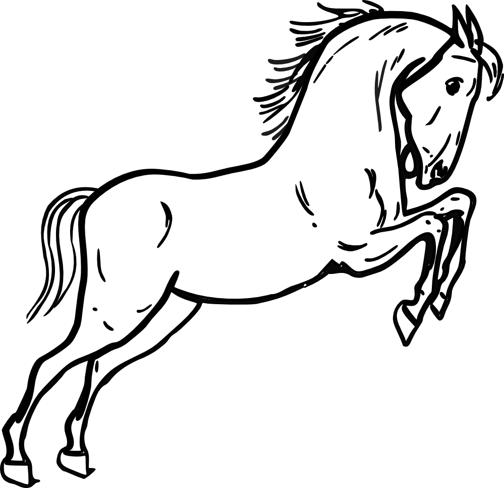 Horse Line Drawing - ClipArt Best