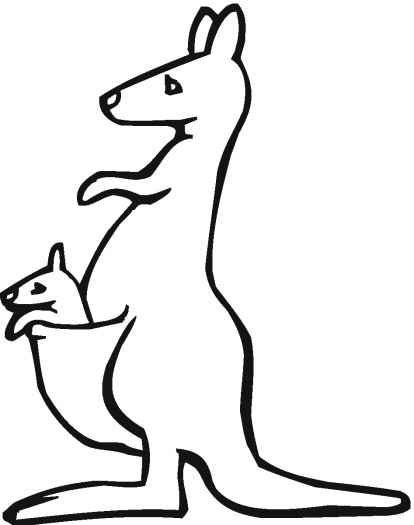 Kangaroo Outline