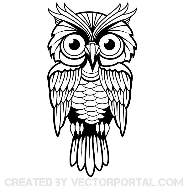 Vector Owl Image | Download Free Vector Art | Free-Vectors