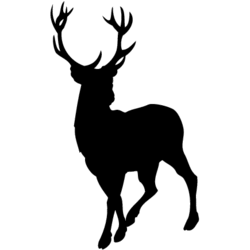 Big Buck Decal - Decal Depot.net