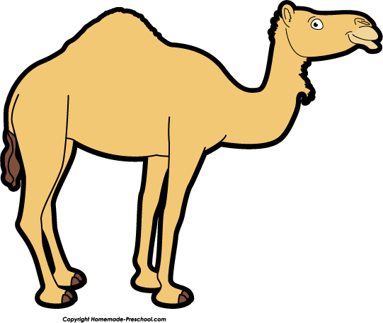 Camel clipart free