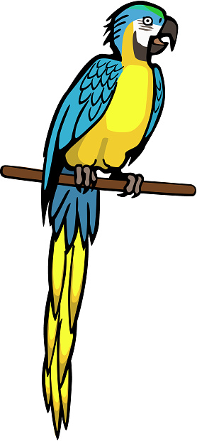 Silhouette Of Blue And Gold Macaw Clip Art, Vector Images ...