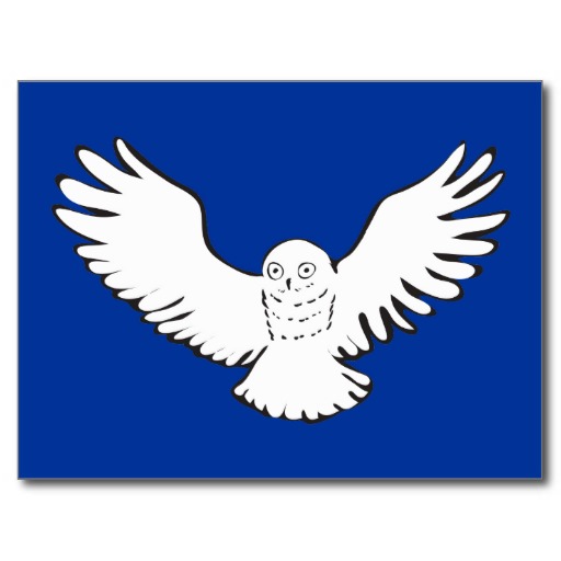 Stylized Flying Snowy Owl Post Card from Zazzle.