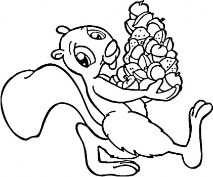 Squirrel with acorns coloring page | Super Coloring