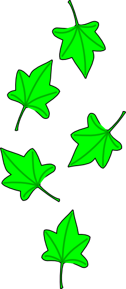 Green Grape Tree Leaves Clip Art - vector clip art ...