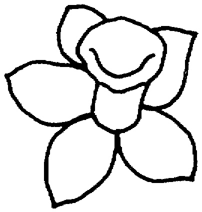 Daffodil coloring pages | Super Coloring - ClipArt Best - ClipArt Best